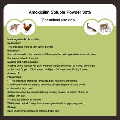 Amoxicilină pulbere solubilă 30 la sută